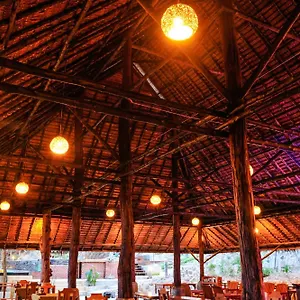 Phu Feriested Phi Phi